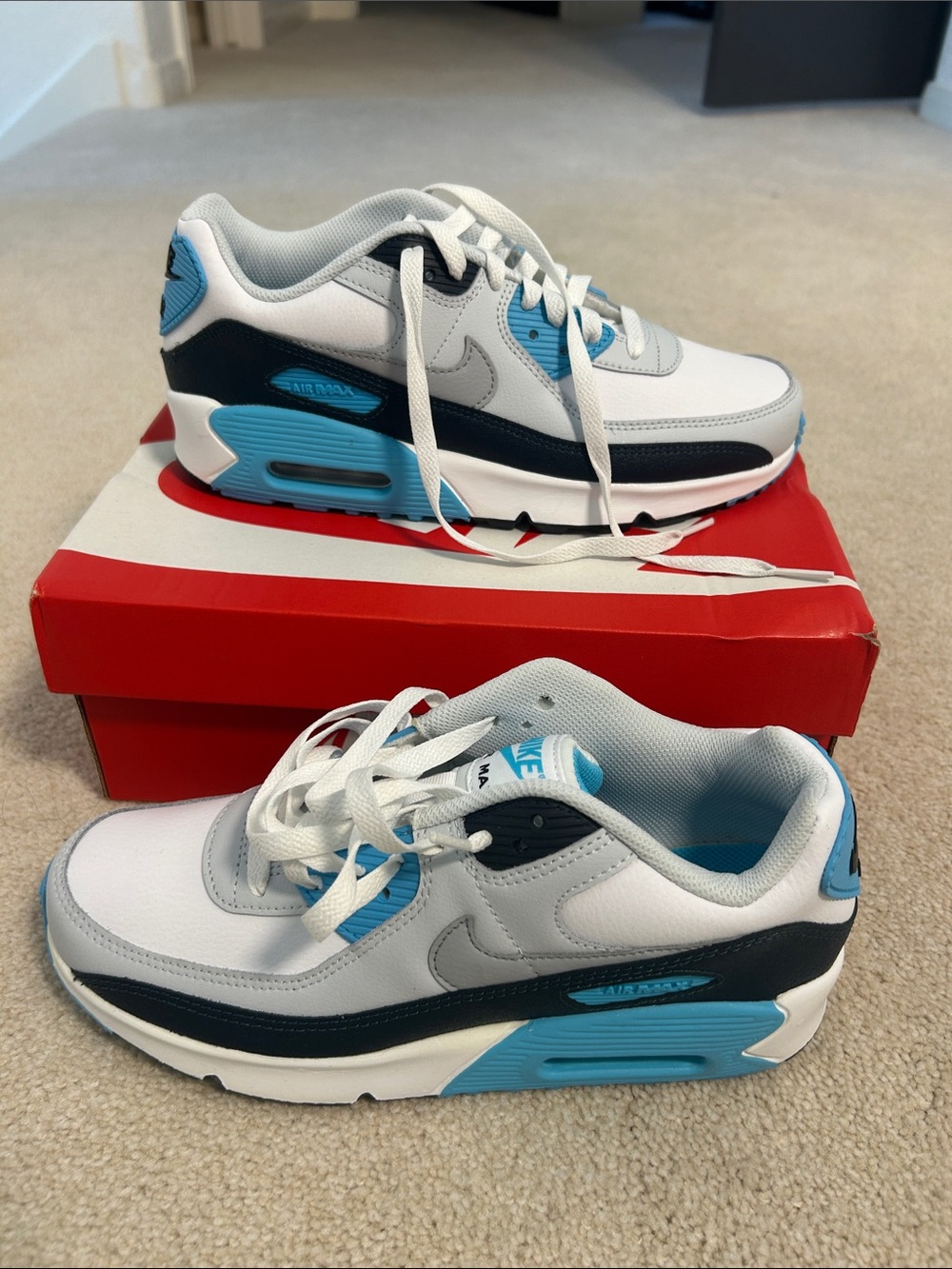 Nike Airmax 90